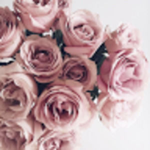 Meet your Posher, Maya